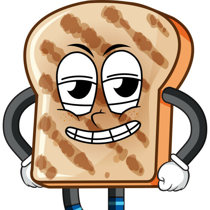 Ecoles d'Echecs en Béarn-Bigorre